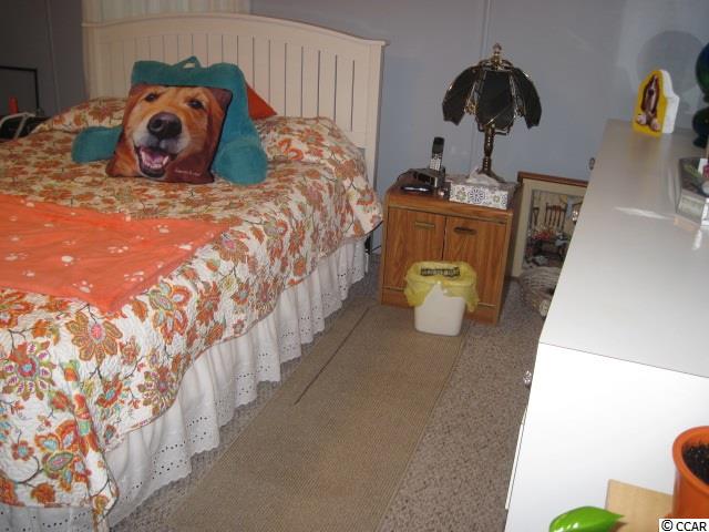 97 Dubose Loop Murrells Inlet, SC 29576 - Photo 16 of 25 Gallery Image 16