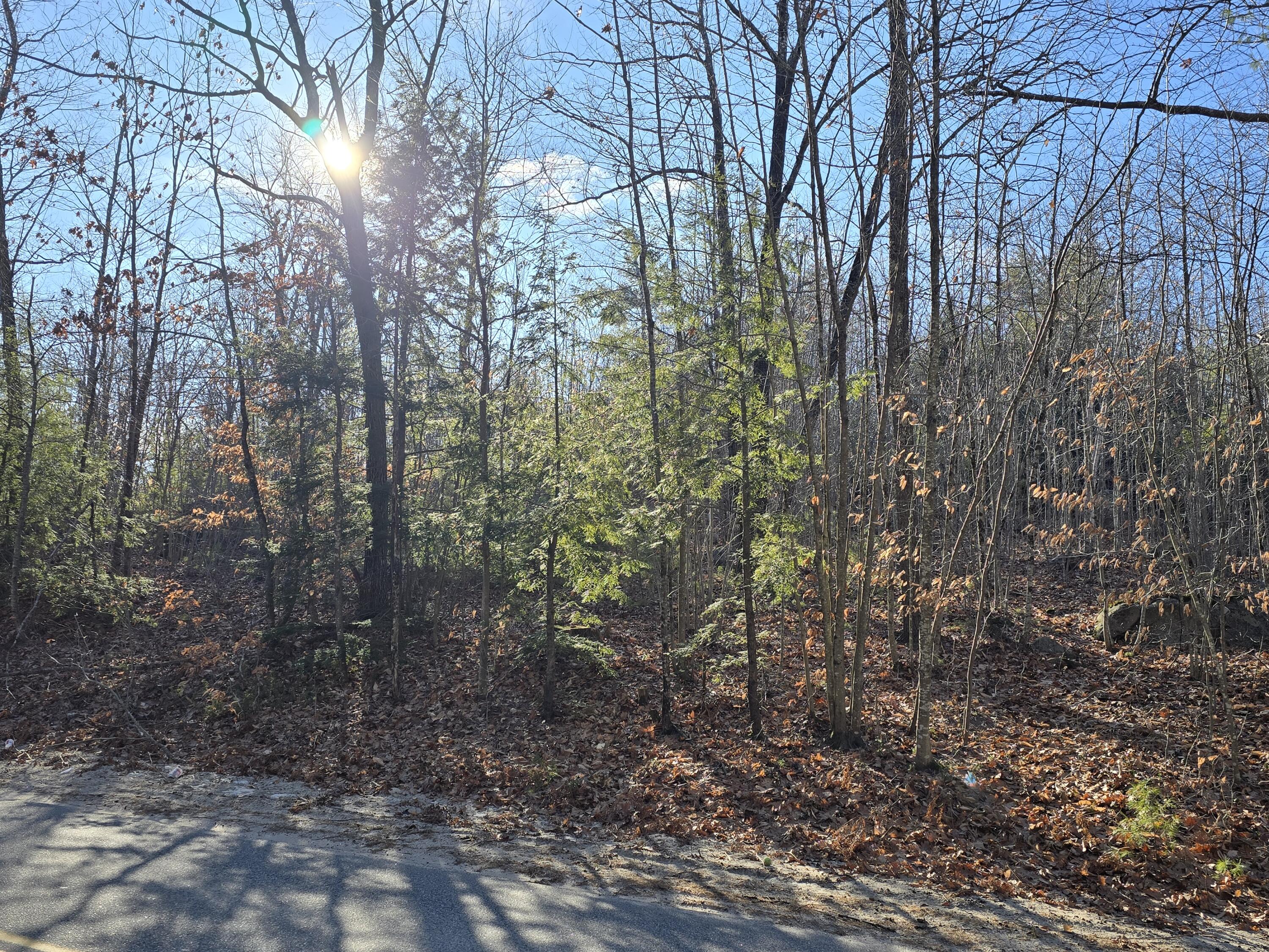 Lot 22 Songo School Road Naples, ME 04055 - Photo 4 of 5 1000001390