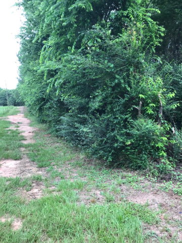 22 Northeast Rd Columbia Al Abbeville, AL 36310 - Photo 1 of 1