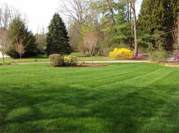 11 Stone Road Sudbury, MA 01776 - Photo 4 of 21 Gallery Image 4
