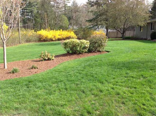 11 Stone Road Sudbury, MA 01776 - Photo 5 of 21 Gallery Image 5