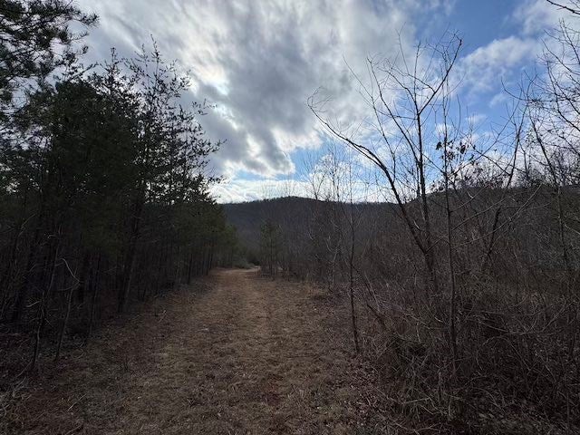 Tbd Brammer Spur Road Woolwine, VA 24185 - Photo 17 of 19 Gallery Image 17