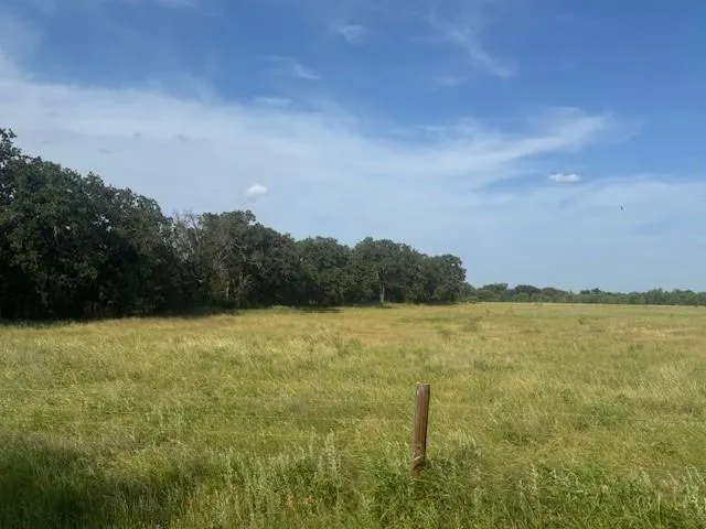 a view of an ocean and beach