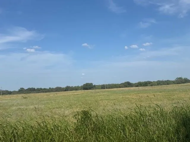 a view of lake and city