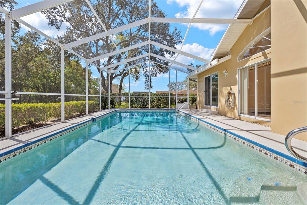 1446 Cornell Avenue Spring Hill, FL 34609 - Photo 33 of 39 a view of a swimming pool with a patio