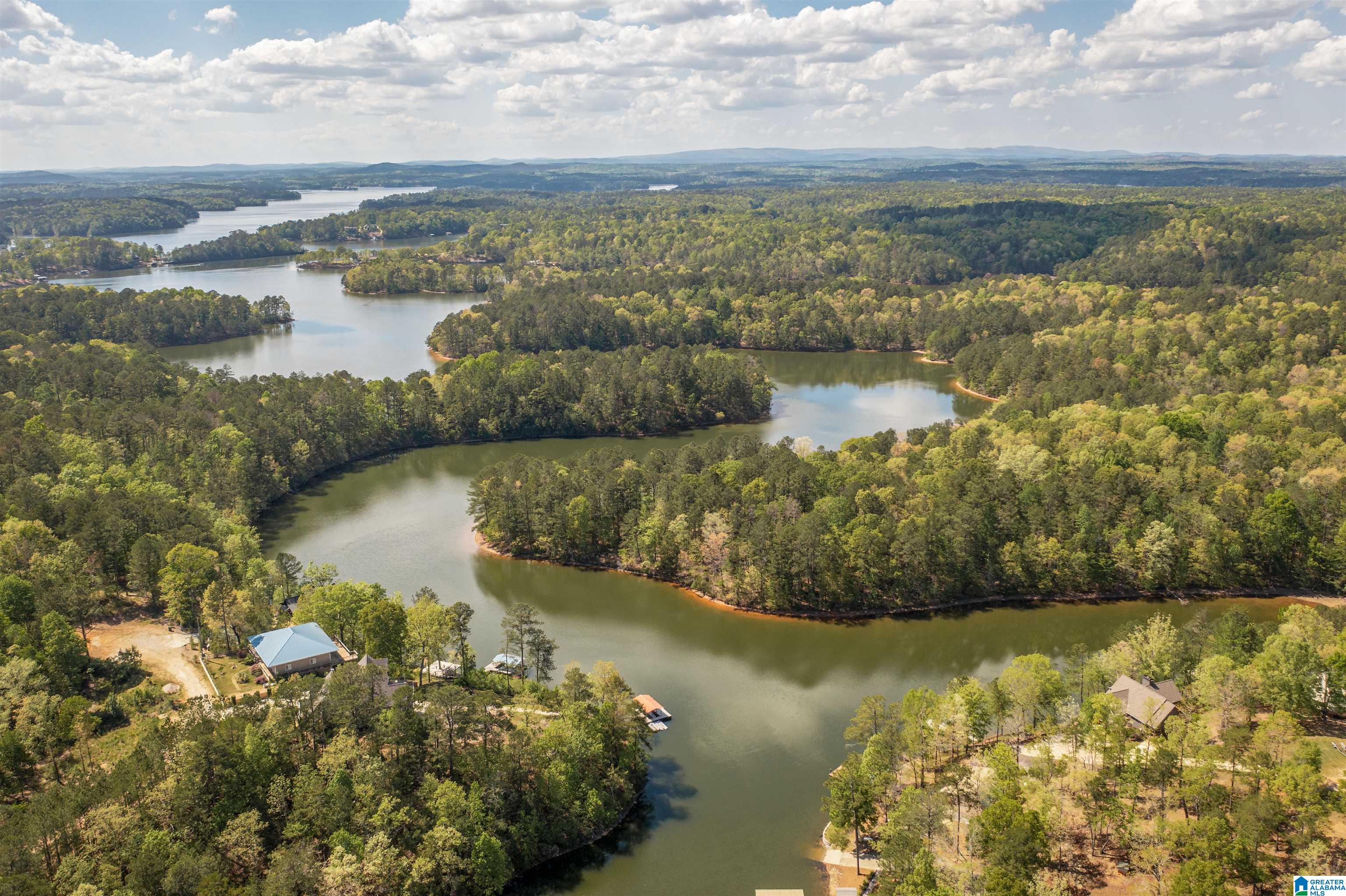 1268 Lane Branch Road Wedowee, AL 36278 - Photo 55 of 56