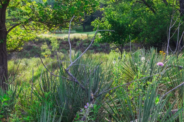 $275,000 | 258 Carroll Creek, Howardwick, TX 79226