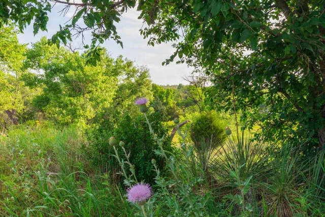 $275,000 | 258 Carroll Creek, Howardwick, TX 79226