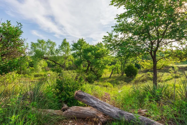 $275,000 | 258 Carroll Creek, Howardwick, TX 79226