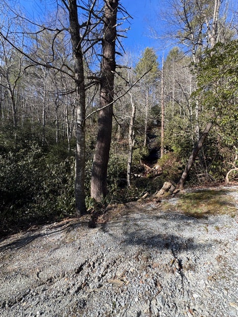 7 Wandering Ridge Cashiers, NC 28717 - Photo 11 of 14 Gallery Image 11