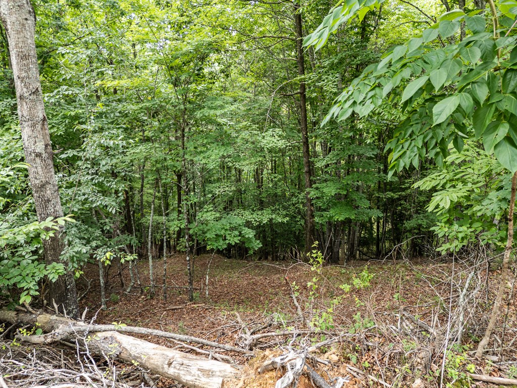1 Stormy Ridge Brasstown, NC 28902 - Photo 9 of 20