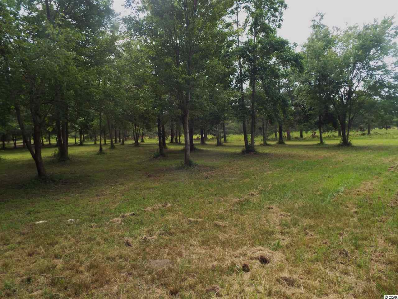 Lot 1 Red Bluff Road Loris, SC 29569 - Photo 4 of 7 Gallery Image 4