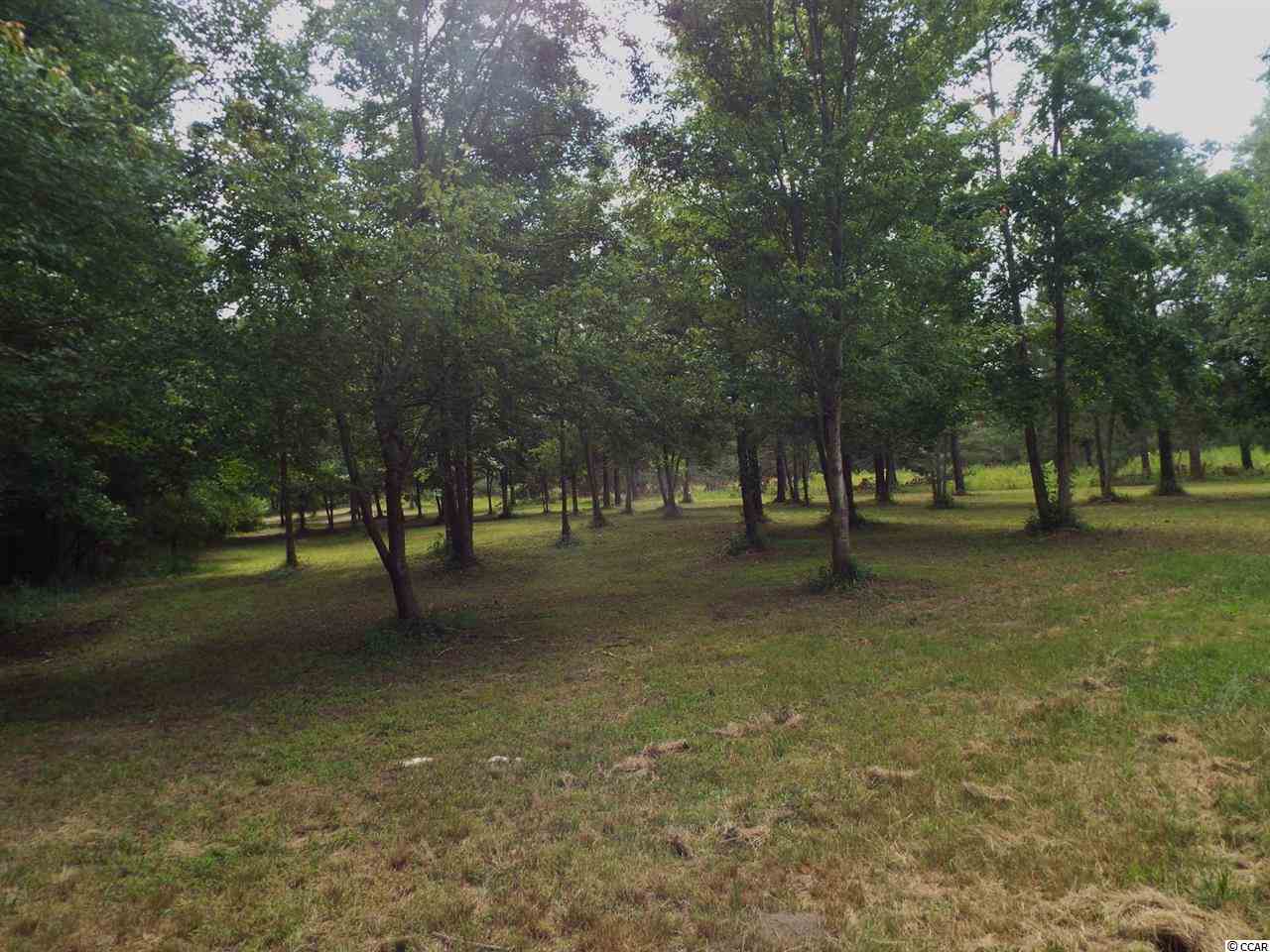 Lot 1 Red Bluff Road Loris, SC 29569 - Photo 5 of 7 Gallery Image 5