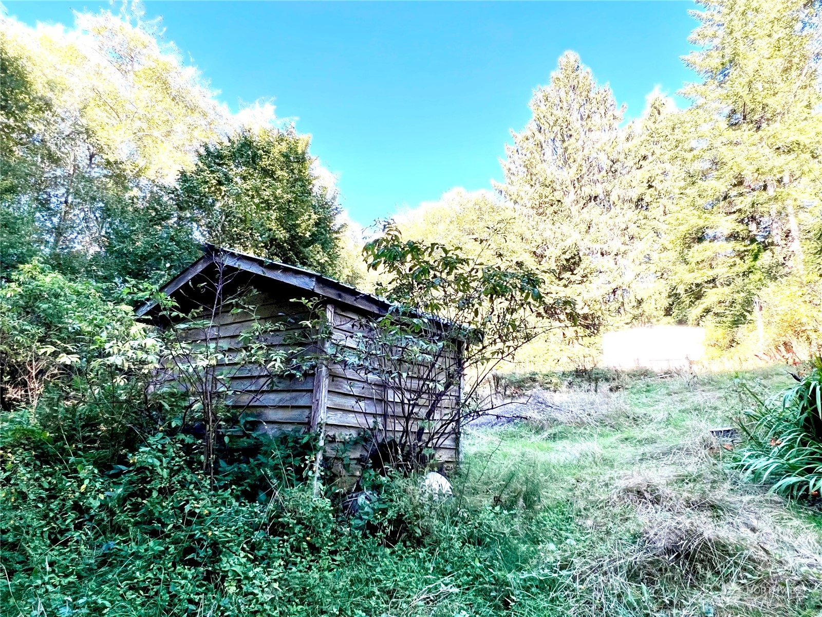 1080 Highway 101 Cosmopolis, WA 98537 - Photo 20 of 40 Gallery Image 20