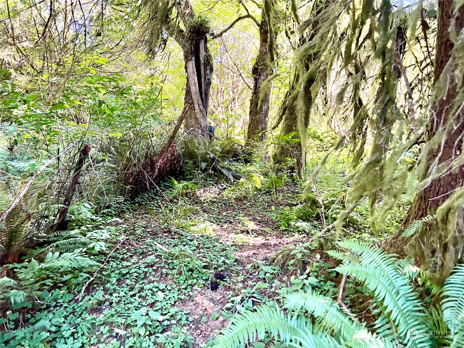 1080 Highway 101 Cosmopolis, WA 98537 - Photo 32 of 40 Gallery Image 32