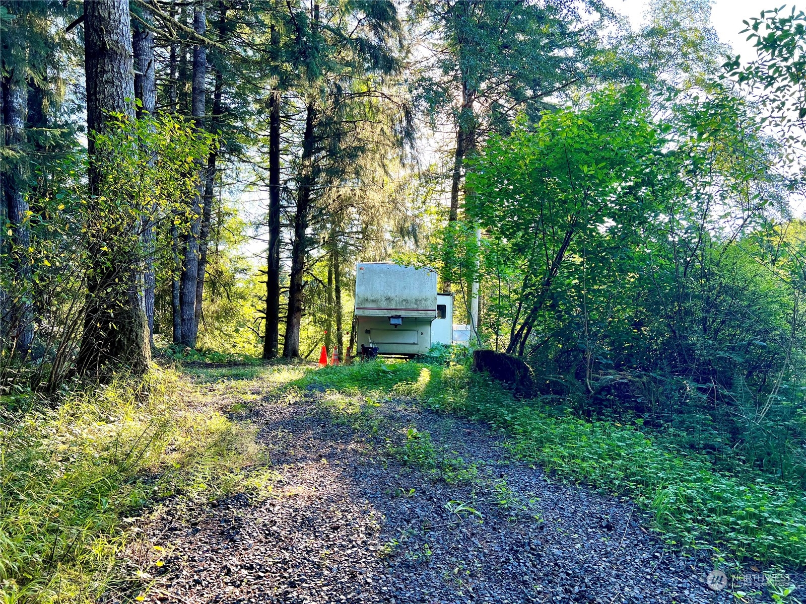 1080 Highway 101 Cosmopolis, WA 98537 - Photo 7 of 40 Gallery Image 7