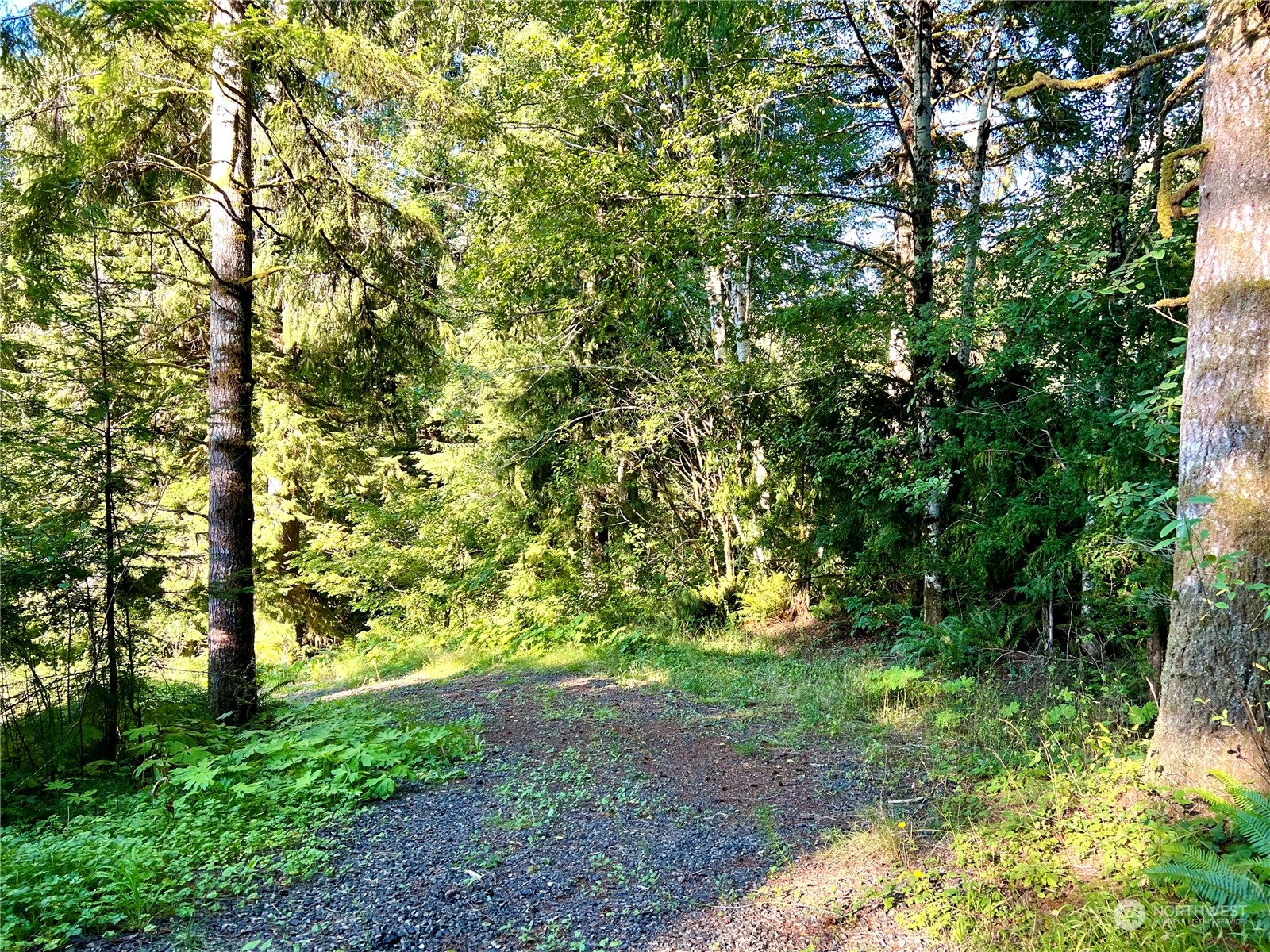 1080 Highway 101 Cosmopolis, WA 98537 - Photo 8 of 40 Gallery Image 8
