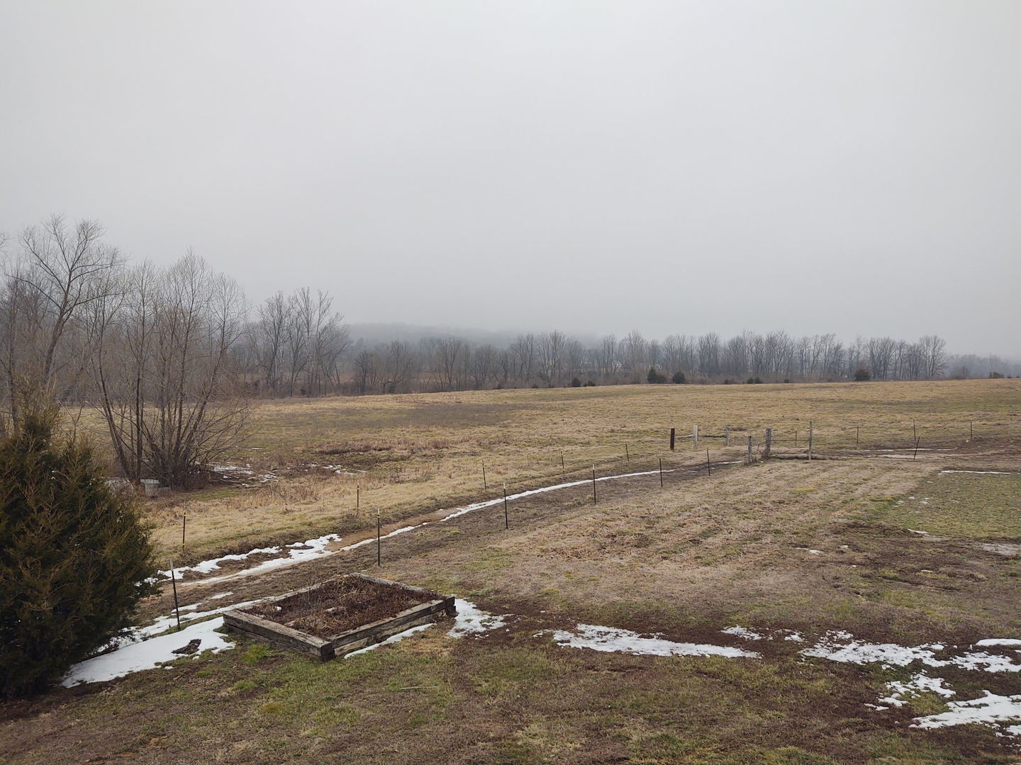 2950 Mt Zion Road Vienna, IL 62995 - Photo 28 of 36 a view of a field with trees in it