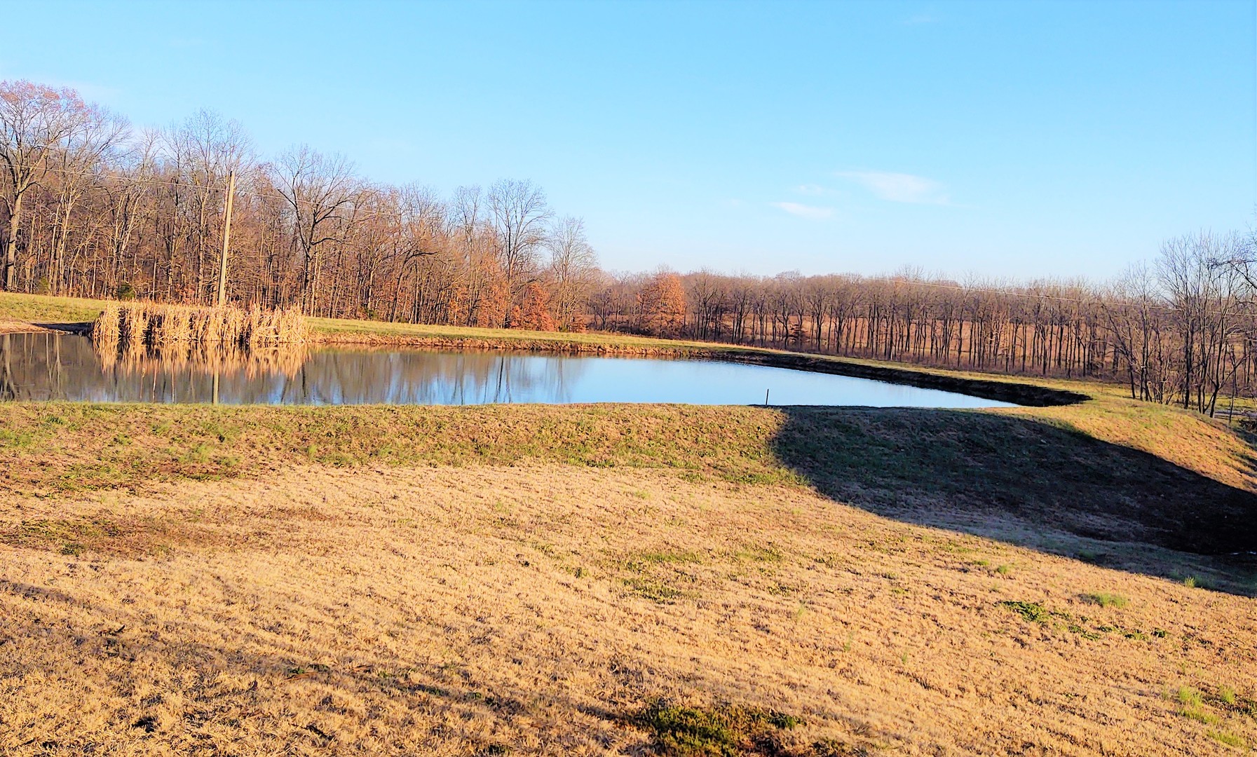 2950 Mt Zion Road Vienna, IL 62995 - Photo 5 of 36 a view of swimming pool and lake
