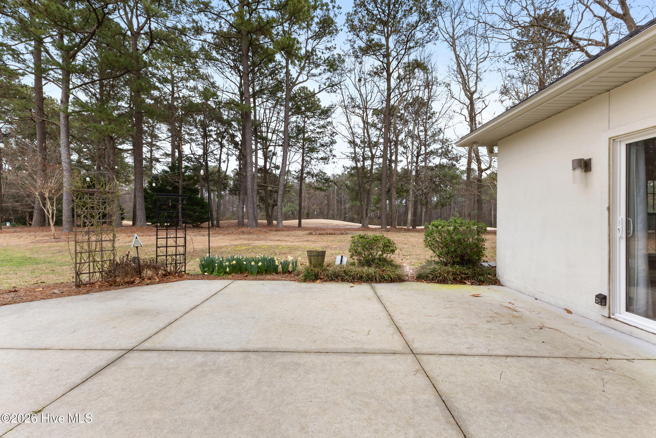 1008 Mill Run Road Sneads Ferry, NC 28460 - Photo 37 of 60 39_501a8414