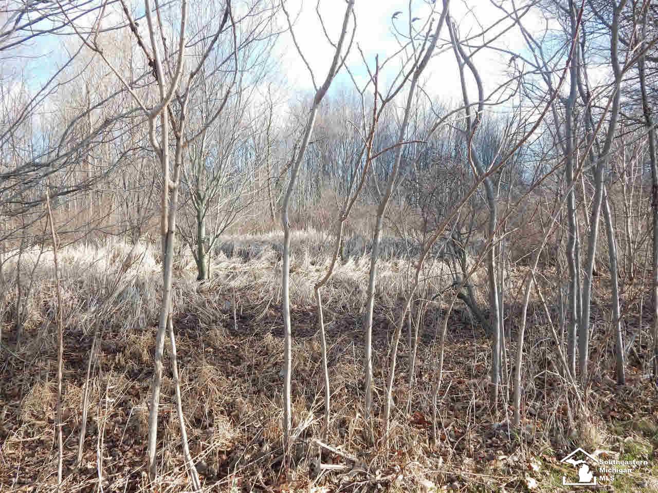 10863 Cemetery Road Erie, MI 48133 - Photo 16 of 17