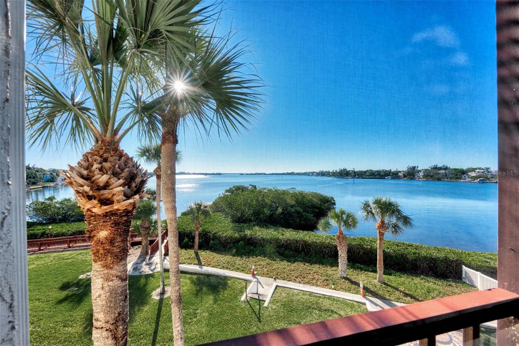 1608 Stickney Point Road, Unit 301 Sarasota, FL 34231 - Photo 1 of 1 a view of a lake with a palm tree