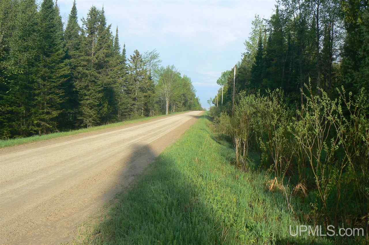 Tbd East Cold Springs Road Chatham, MI 49816 - Photo 14 of 21