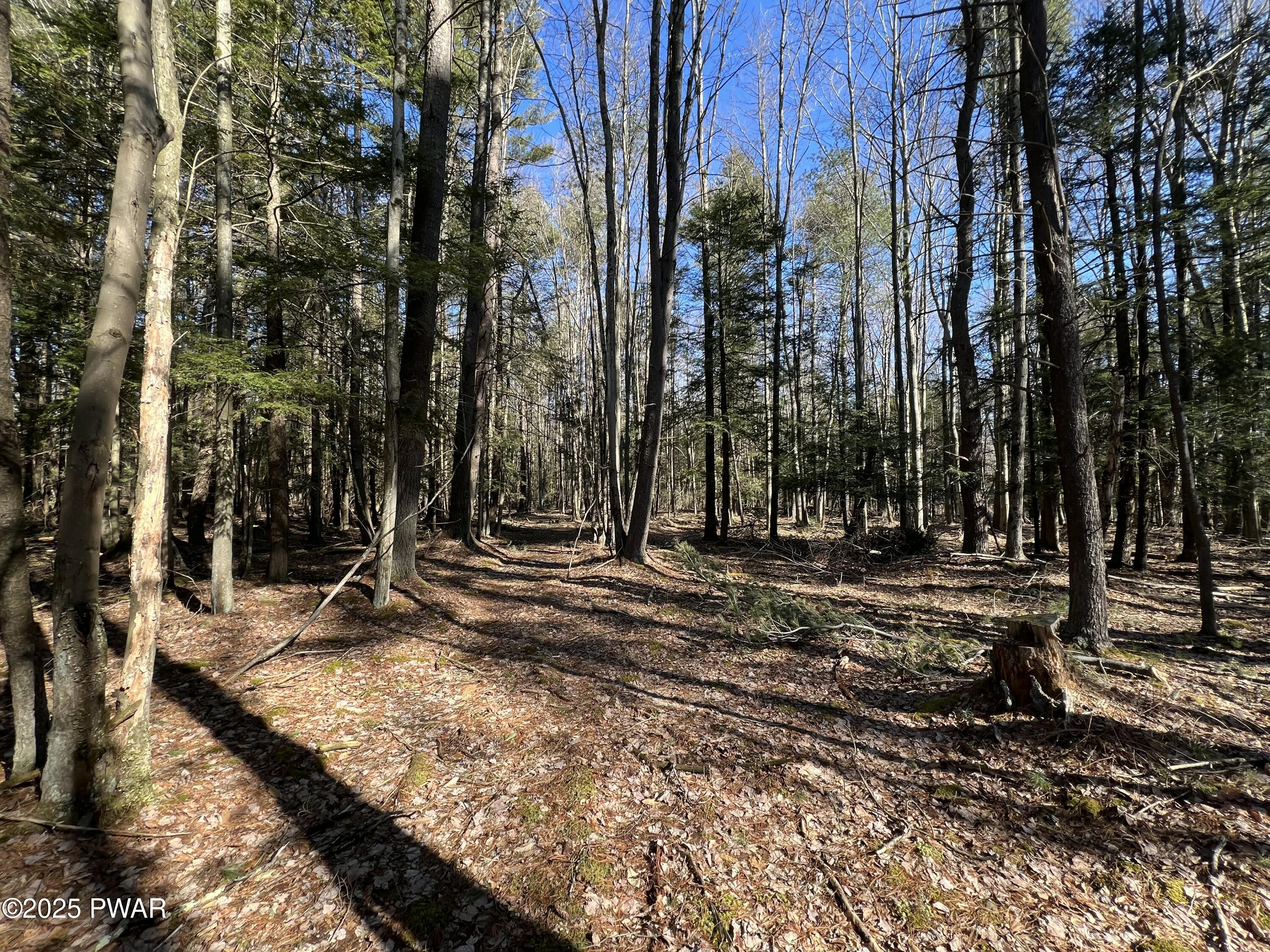 18 R Deer Laurel Estates Rd Lake Lake Ariel, PA 18436 - Photo 12 of 38