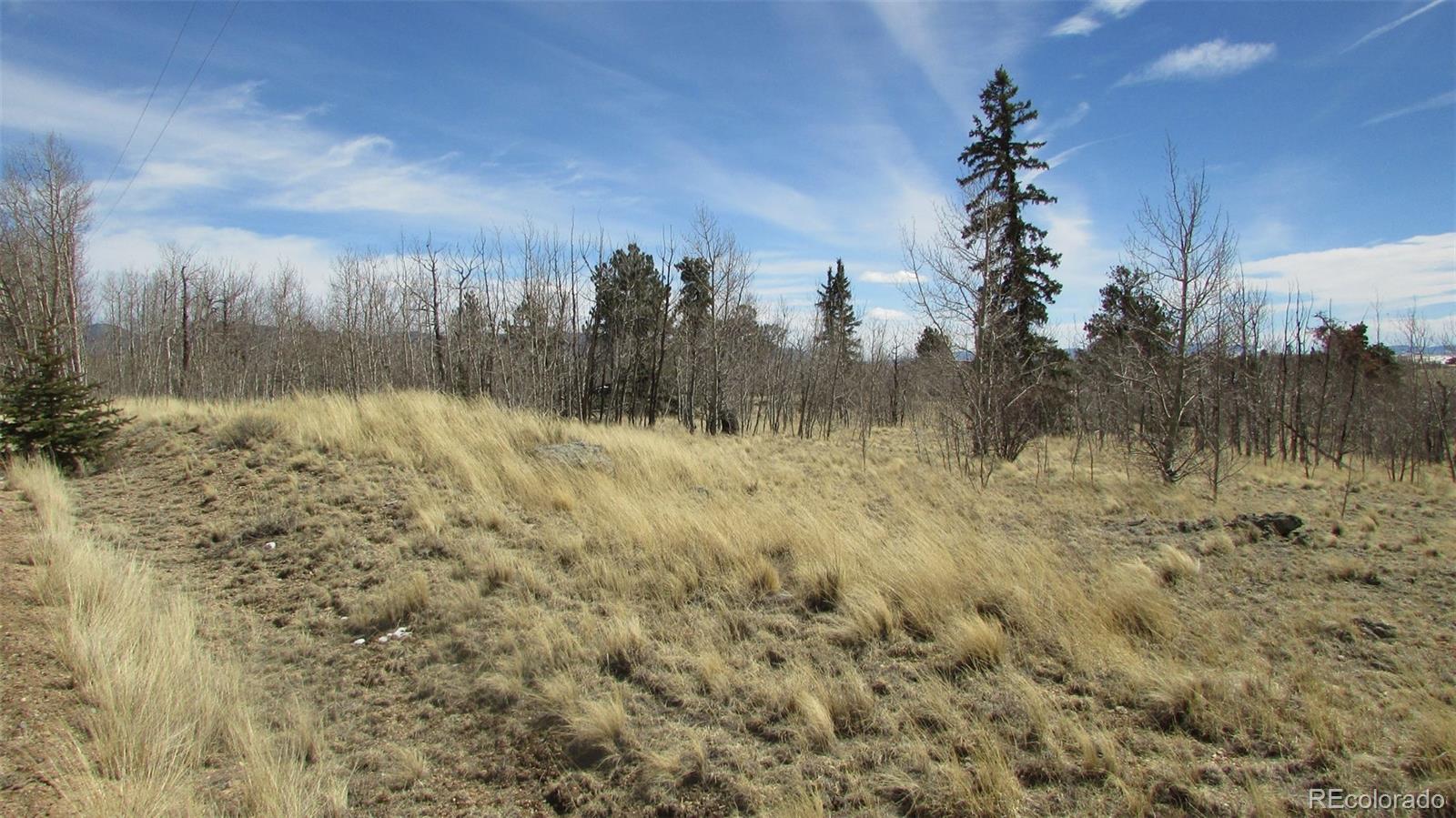 1342 Buffalo Ridge Road Como, CO 80432 - Photo 1 of 8 Gallery Image 1
