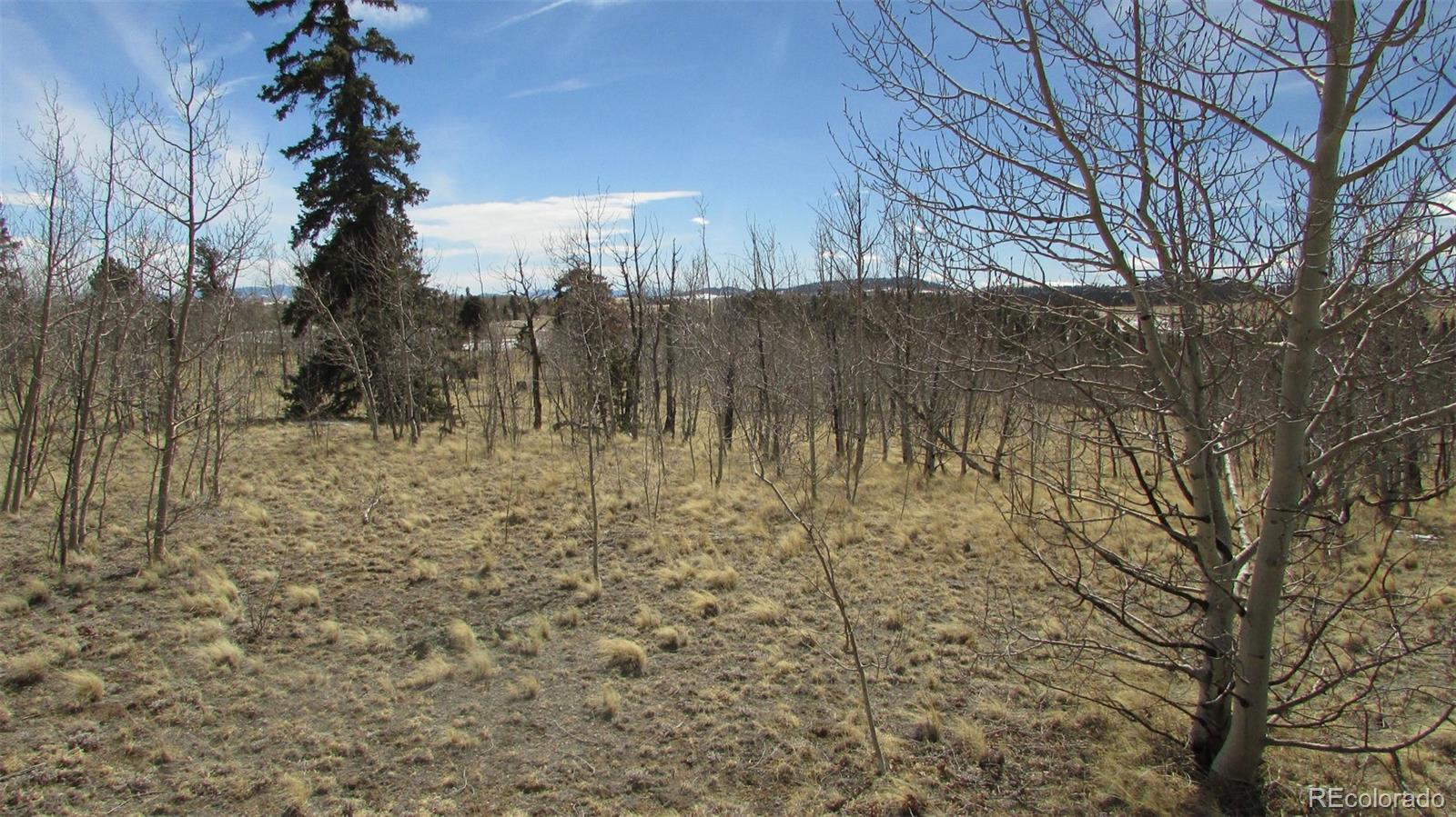 1342 Buffalo Ridge Road Como, CO 80432 - Photo 2 of 8 Gallery Image 2