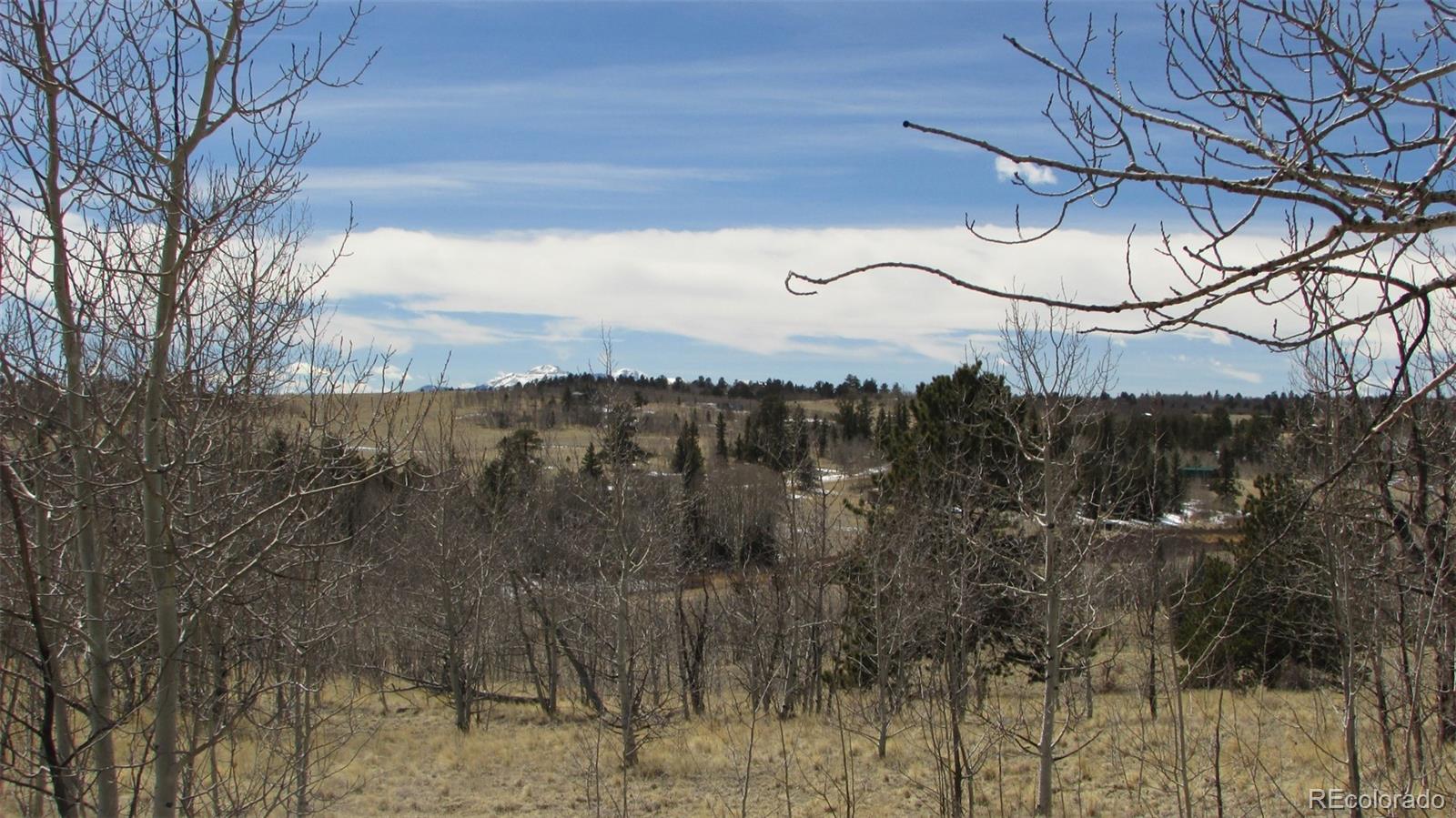 1342 Buffalo Ridge Road Como, CO 80432 - Photo 3 of 8 Gallery Image 3