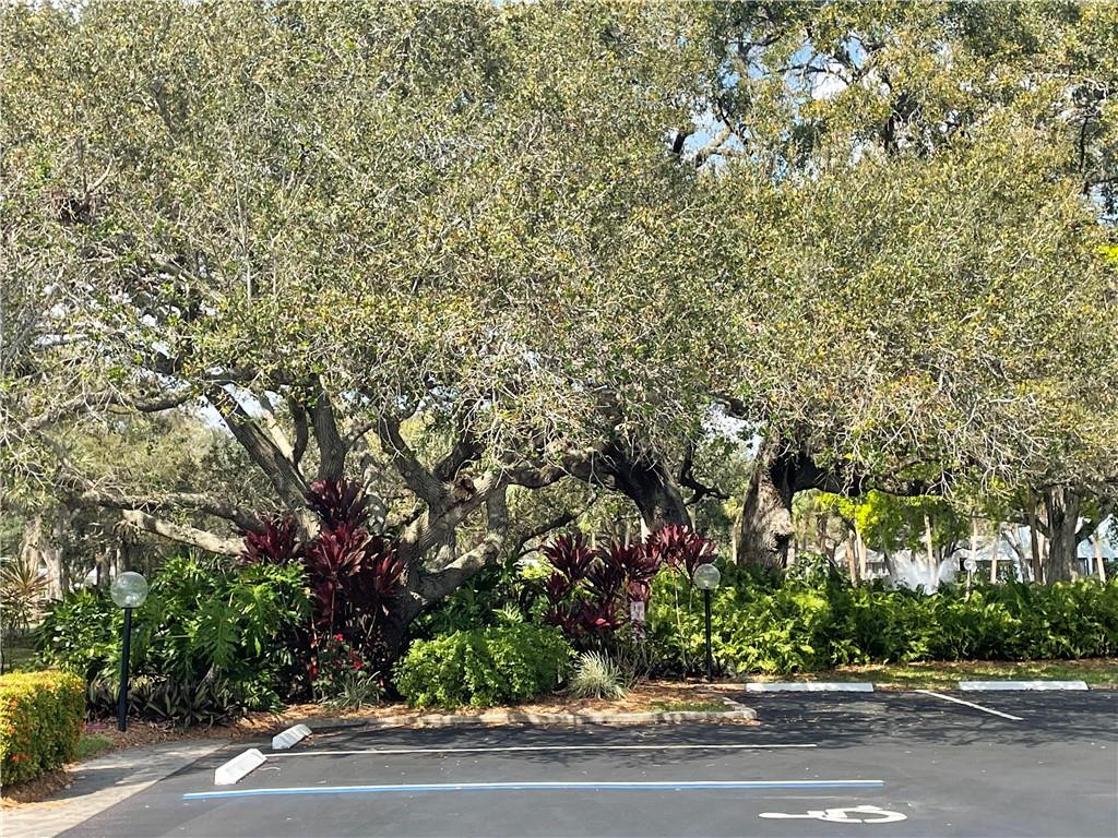 9635 Riverside Drive, Unit BLD 5 4 Sebastian, FL 32958 - Photo 22 of 23