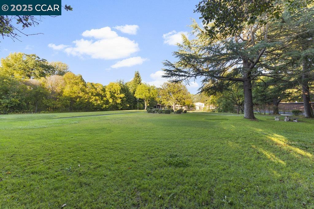 940 Reliez Station Lane Lafayette, CA 94549 - Photo 29 of 53