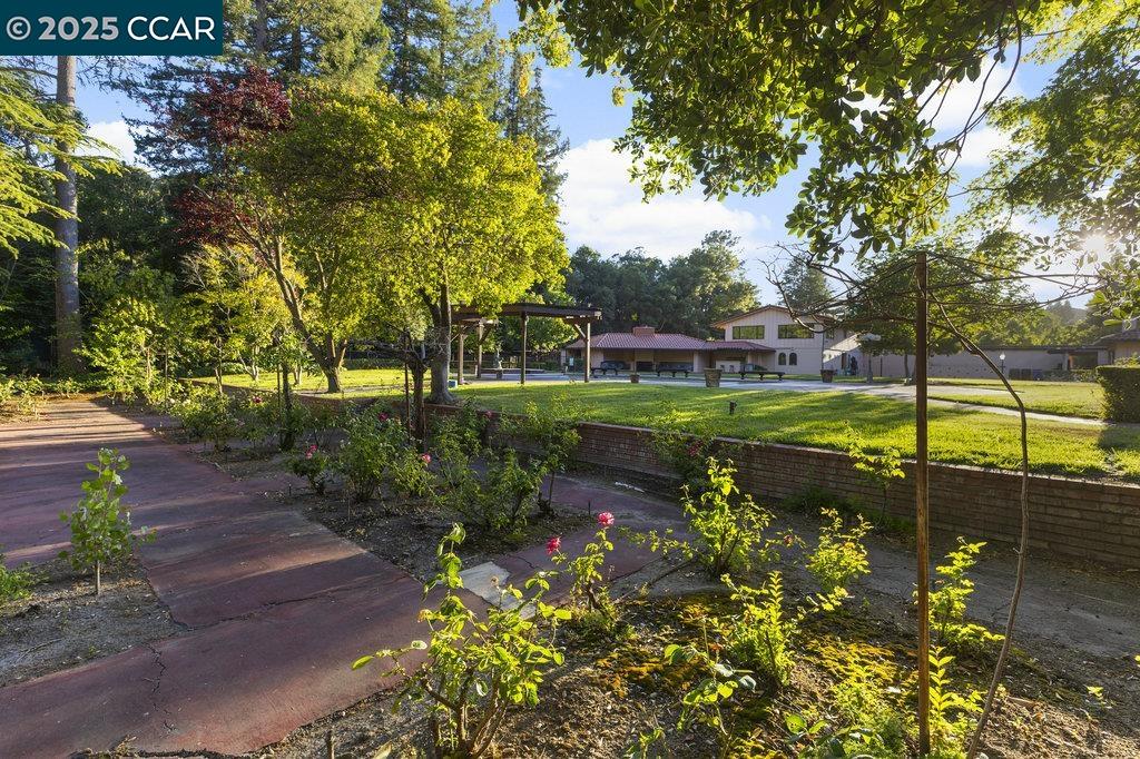 940 Reliez Station Lane Lafayette, CA 94549 - Photo 30 of 53 a view of a park with large trees