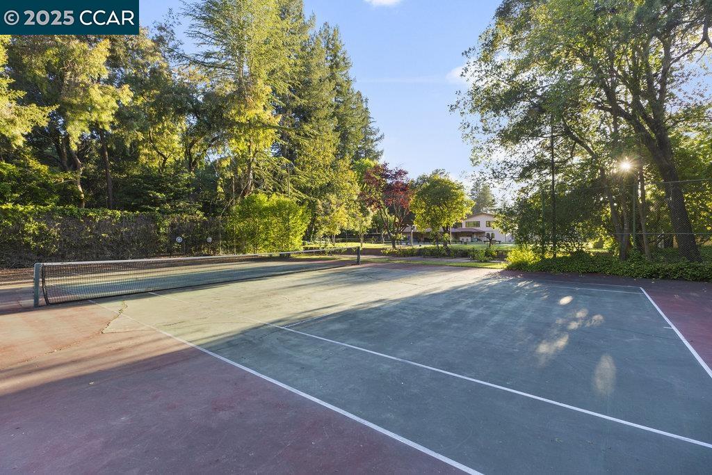 940 Reliez Station Lane Lafayette, CA 94549 - Photo 44 of 53 a view of yard along with trees