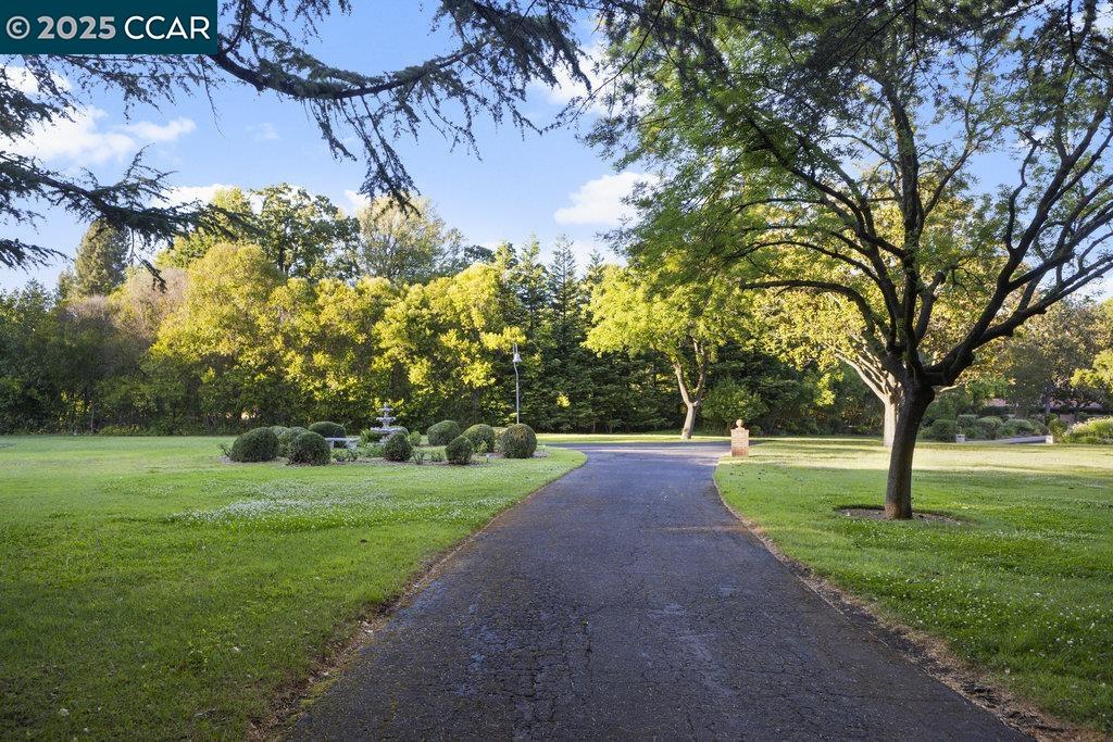 940 Reliez Station Lane Lafayette, CA 94549 - Photo 46 of 53 a view of a trees with a big yard