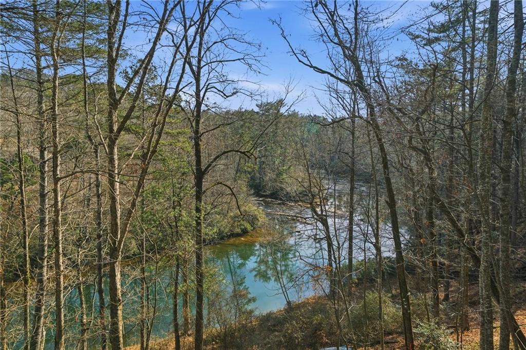1008 River Estates Road Cleveland, GA 30528 - Photo 17 of 37 a view of a forest