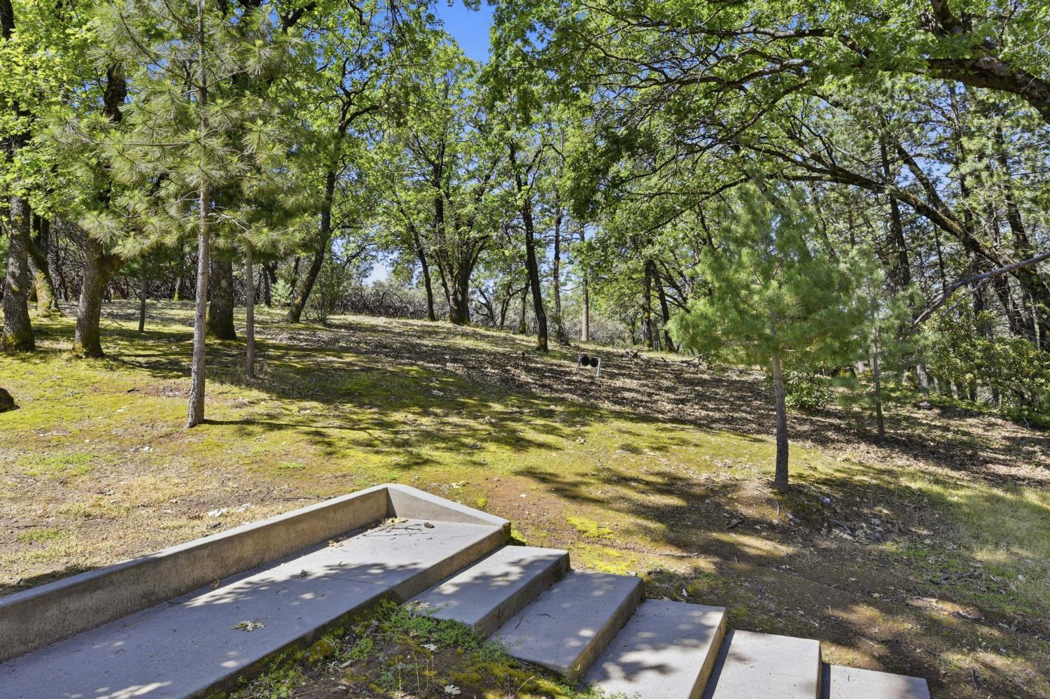 2440 Pleasant Valley Road Placerville, CA 95667 - Photo 37 of 40 view of yard