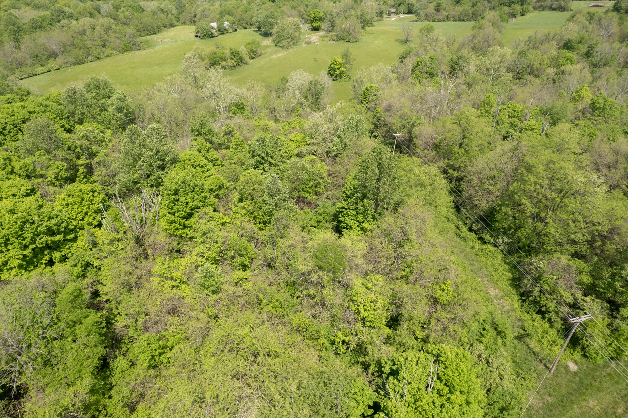 0 Possum Path Road Burlington, KY 41005 - Photo 6 of 16 Gallery Image 6