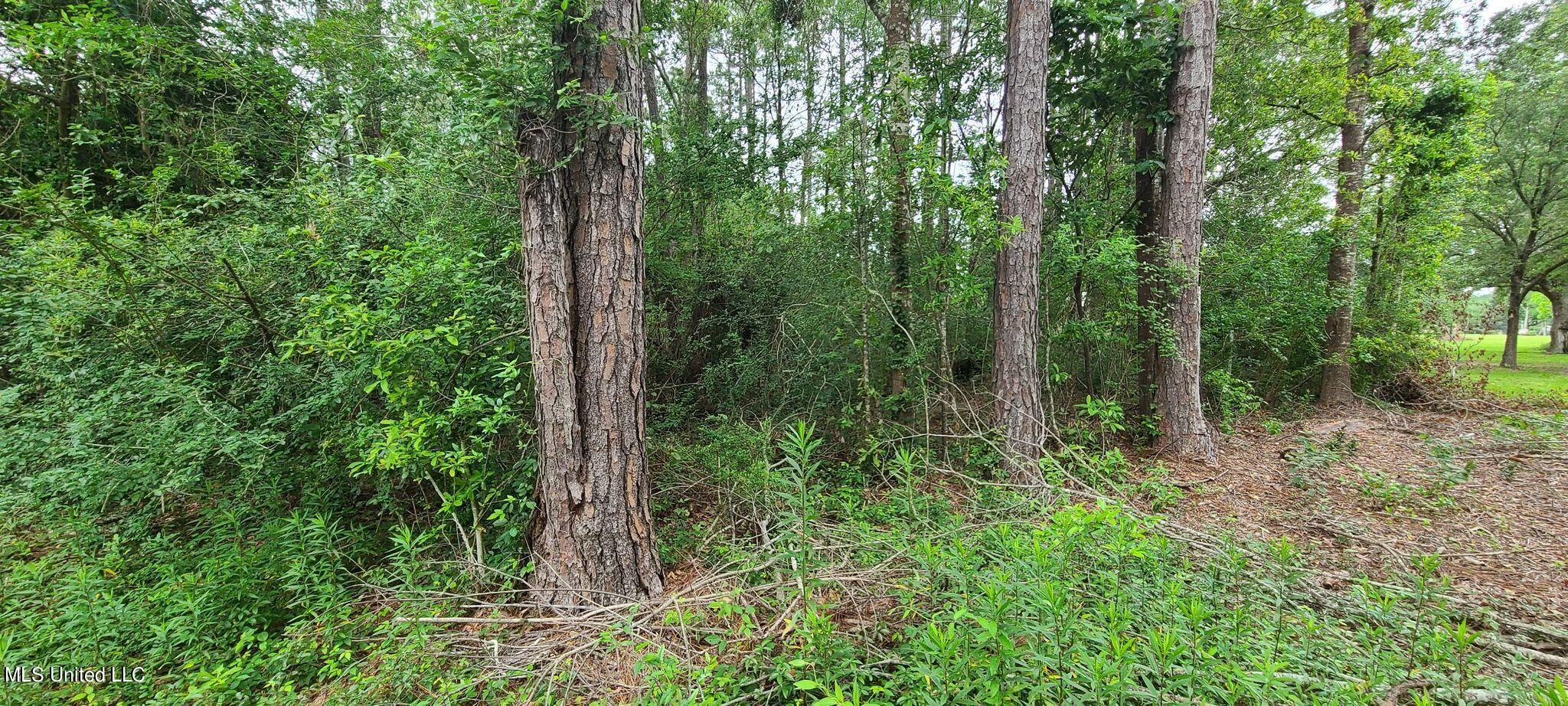 13623 John Clark Road Gulfport, MS 39503 - Photo 9 of 11 190781519_2833228770228644_5213135703139
