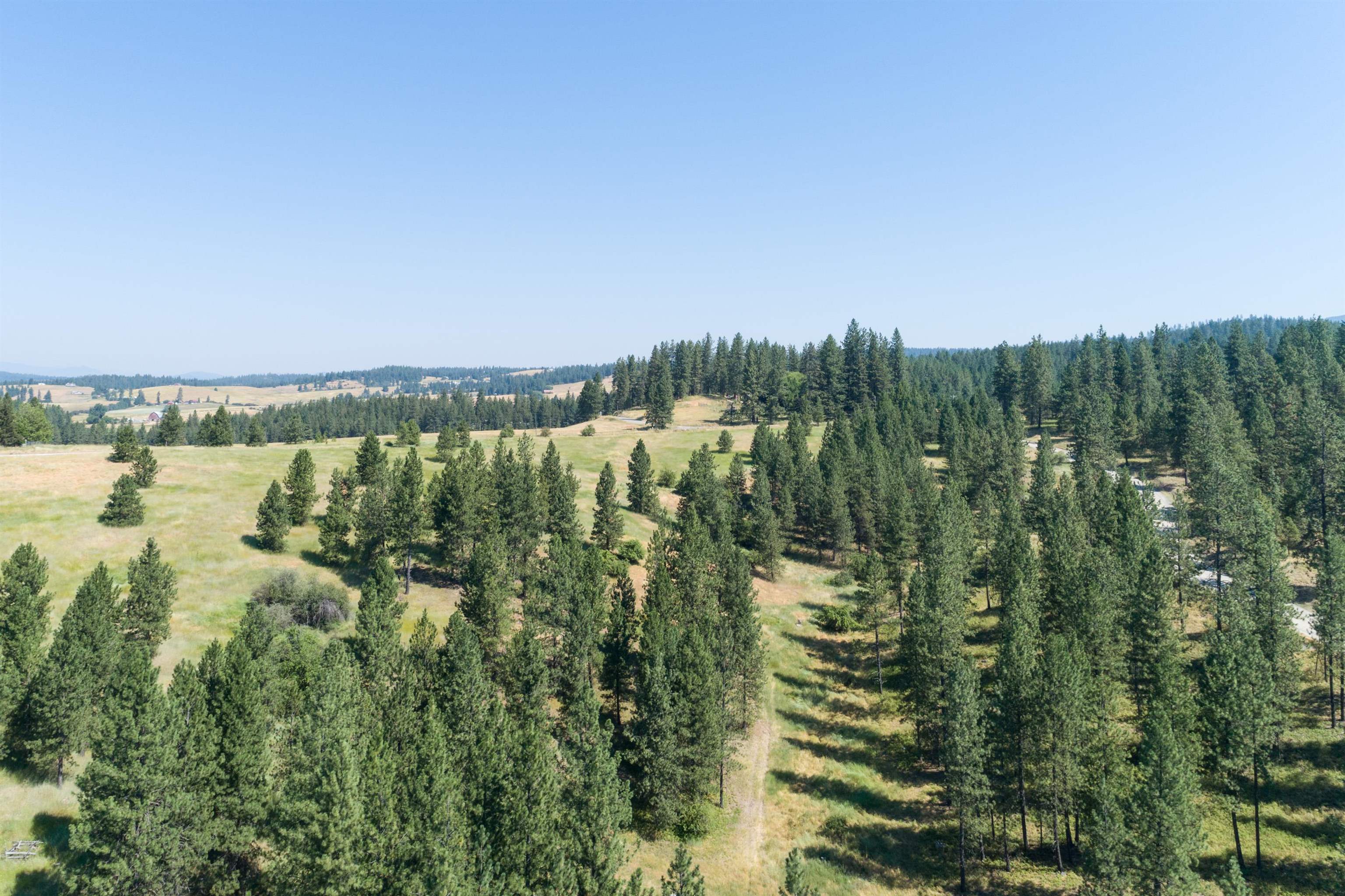Xxx North Madison Road Chattaroy, WA 99003 - Photo 1 of 15