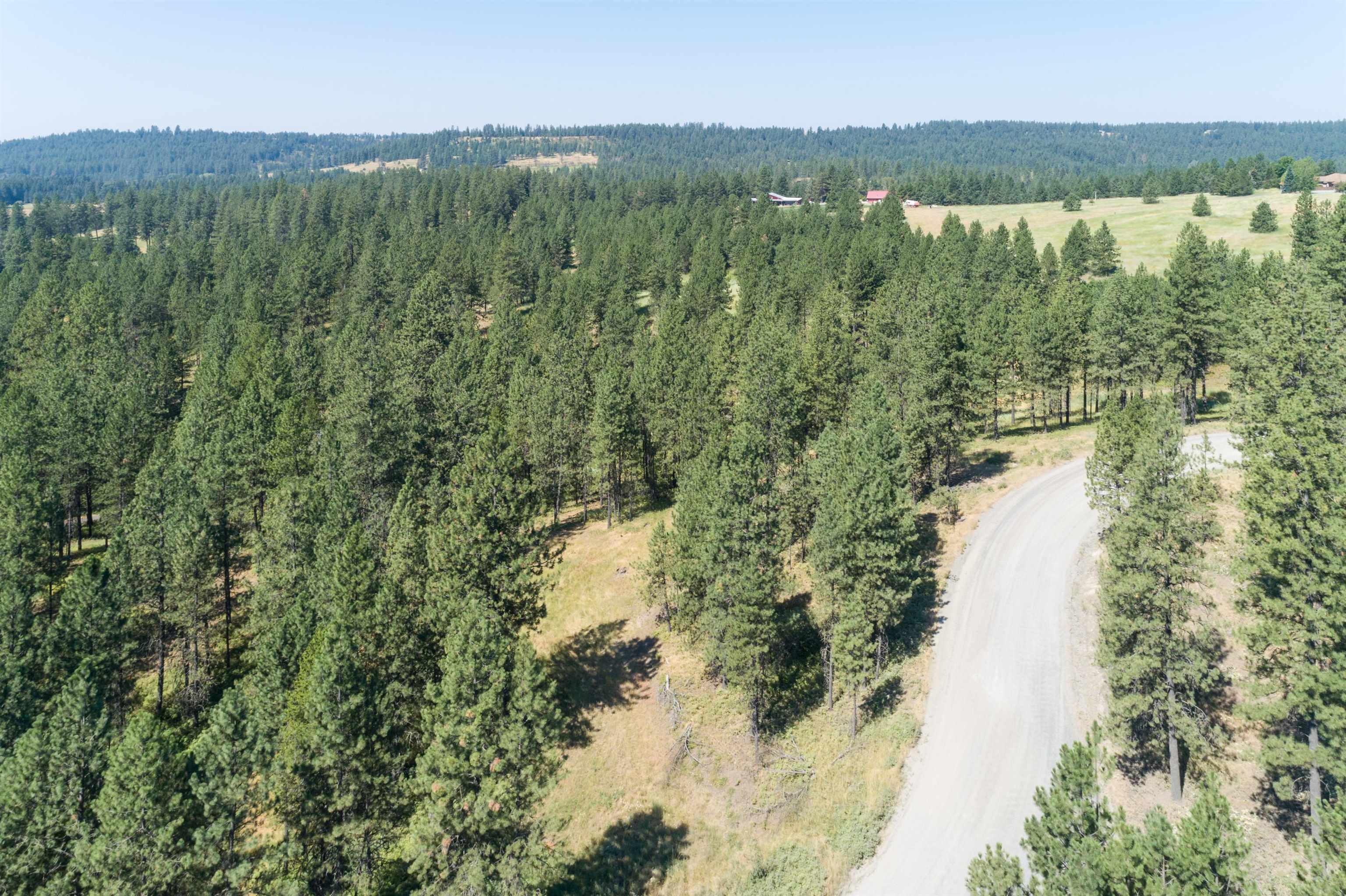 Xxx North Madison Road Chattaroy, WA 99003 - Photo 8 of 15