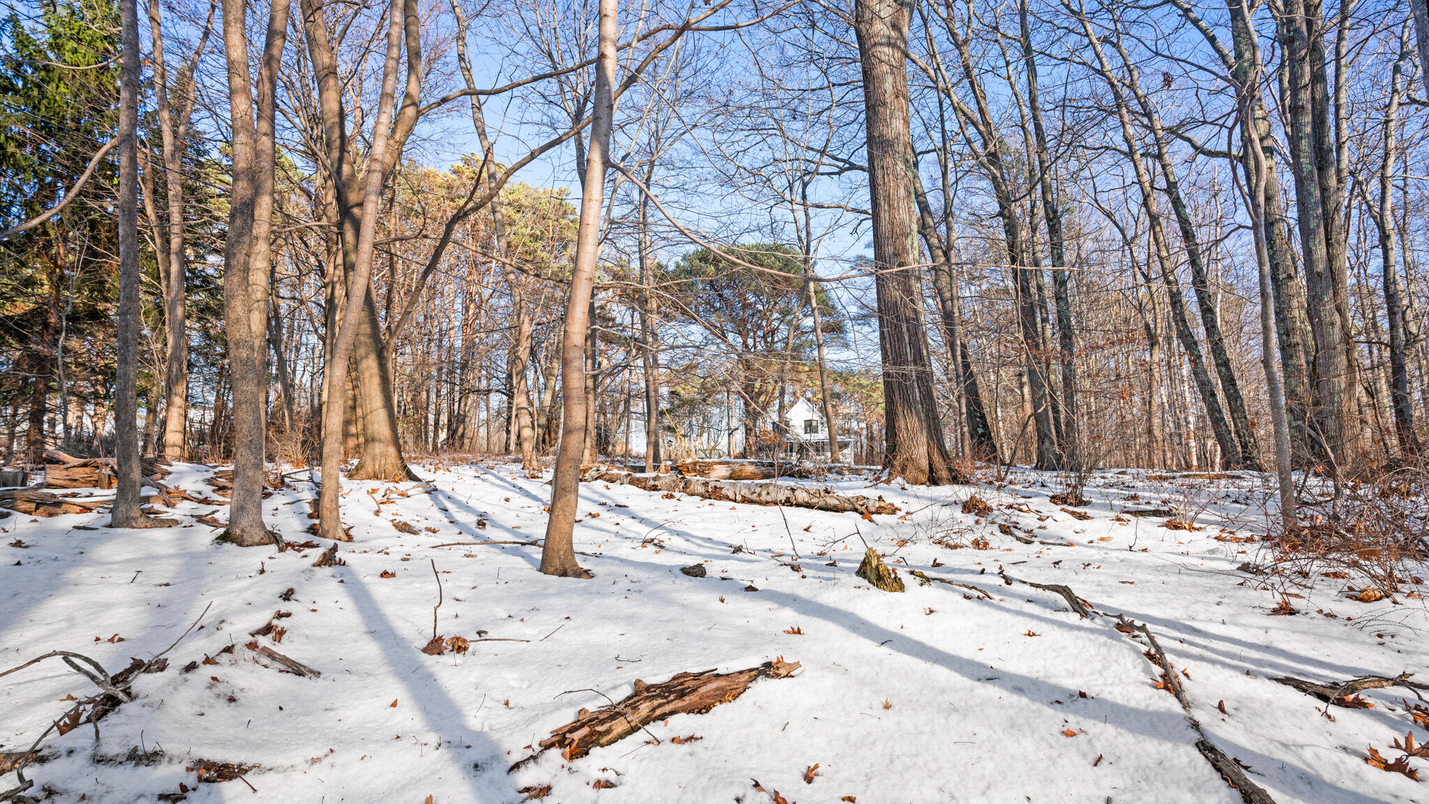 0 Sunset Avenue Portland, ME 04103 - Photo 11 of 12 DSC02827