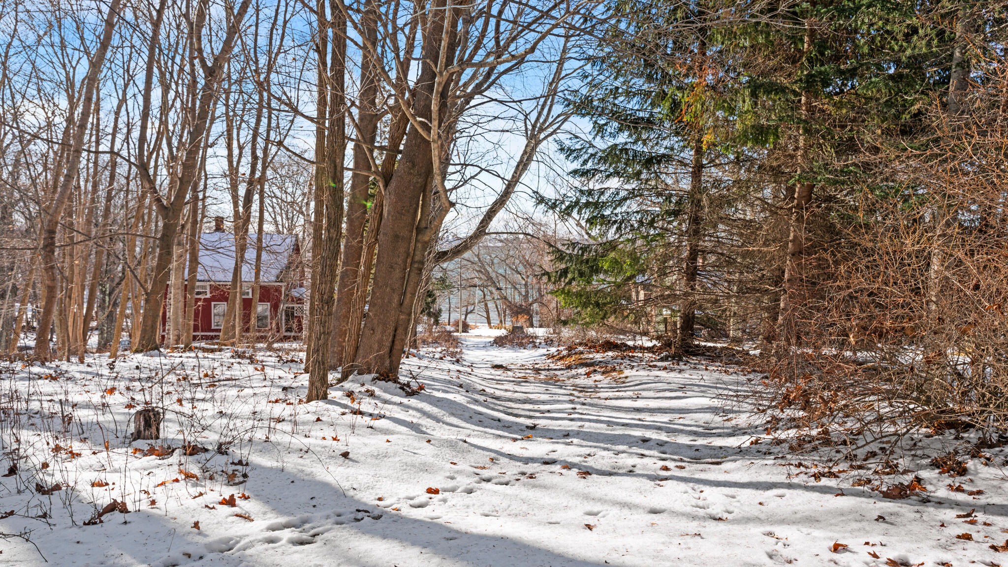 0 Sunset Avenue Portland, ME 04103 - Photo 6 of 12 DSC02792