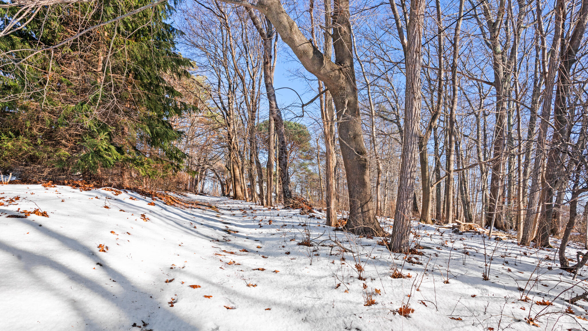 0 Sunset Avenue Portland, ME 04103 - Photo 8 of 12 DSC02812