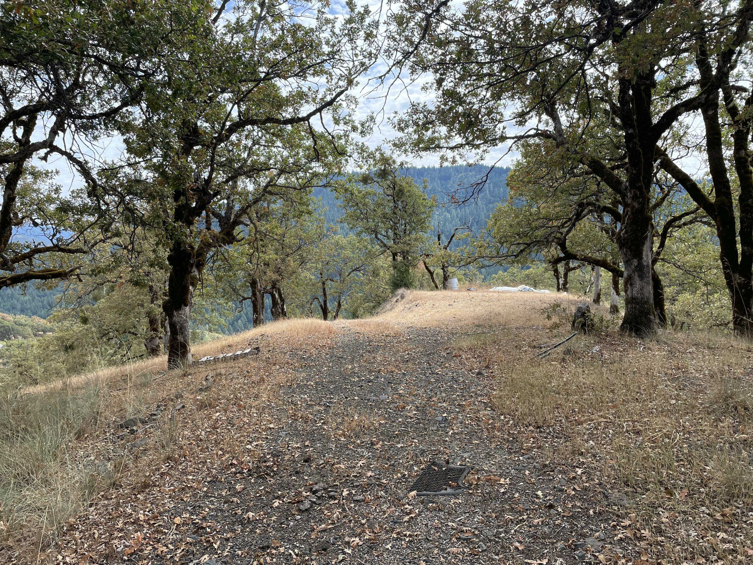 40-acres 40-acres Ridge Road Mad River, CA 95526 - Photo 7 of 28