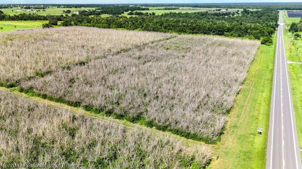 0 West St Road Wauchula, FL 33873 - Photo 7 of 24