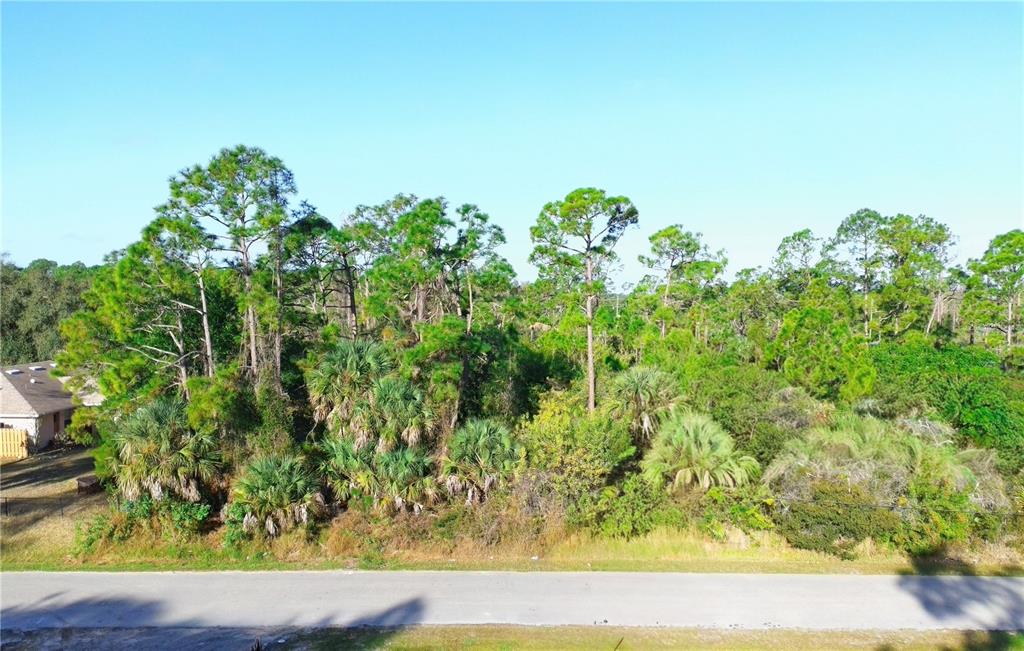 Killian St Port North Port, FL 34286 - Photo 3 of 7 a view of a garden with plants