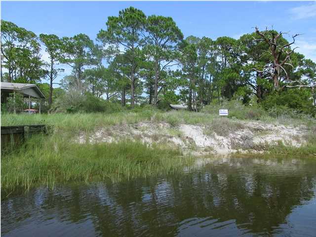 113 Anglers Road Carrabelle, FL 32322 - Photo 3 of 16