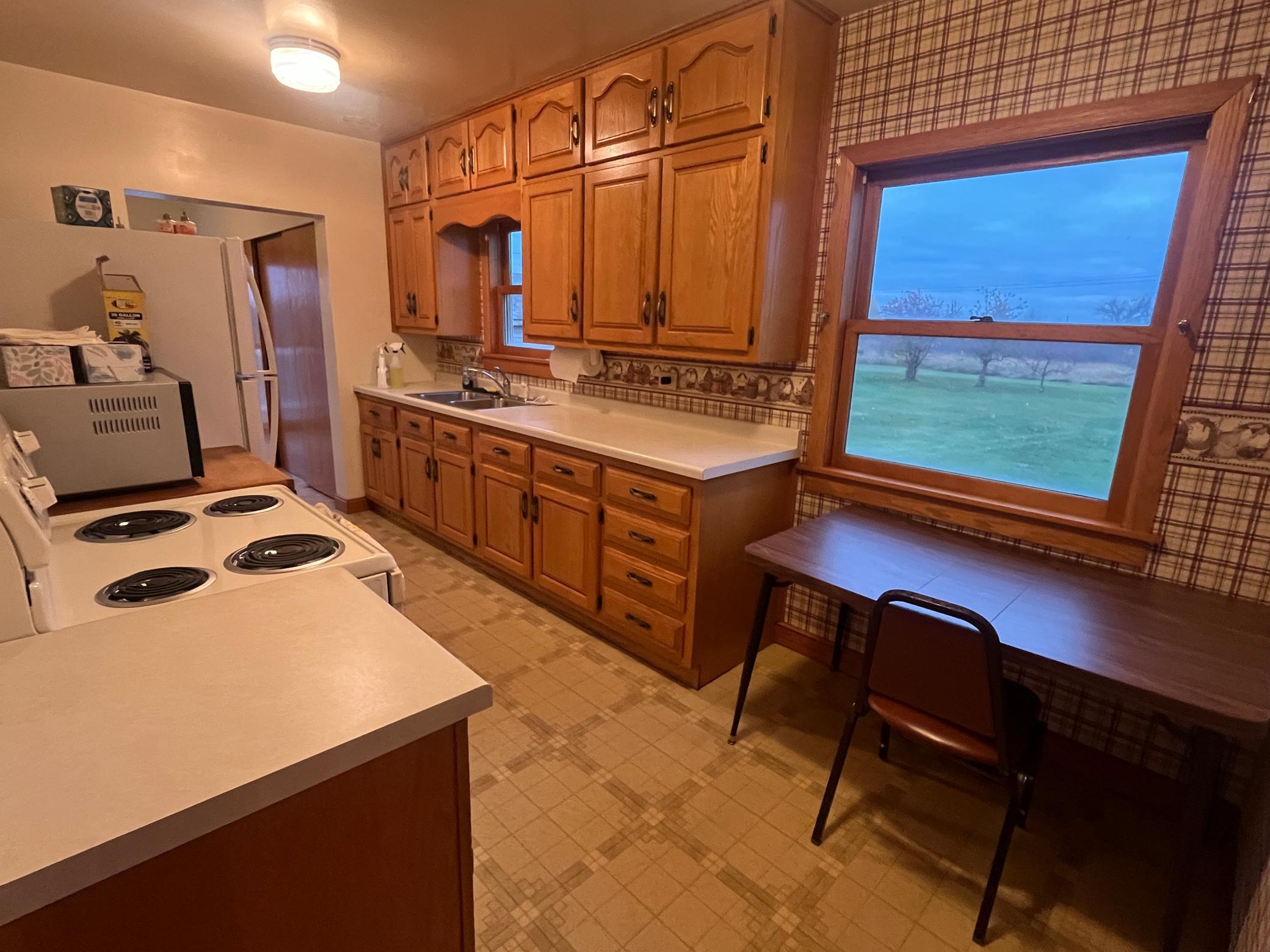 310 1st Street South Mentor, MN 56736 - Photo 4 of 17